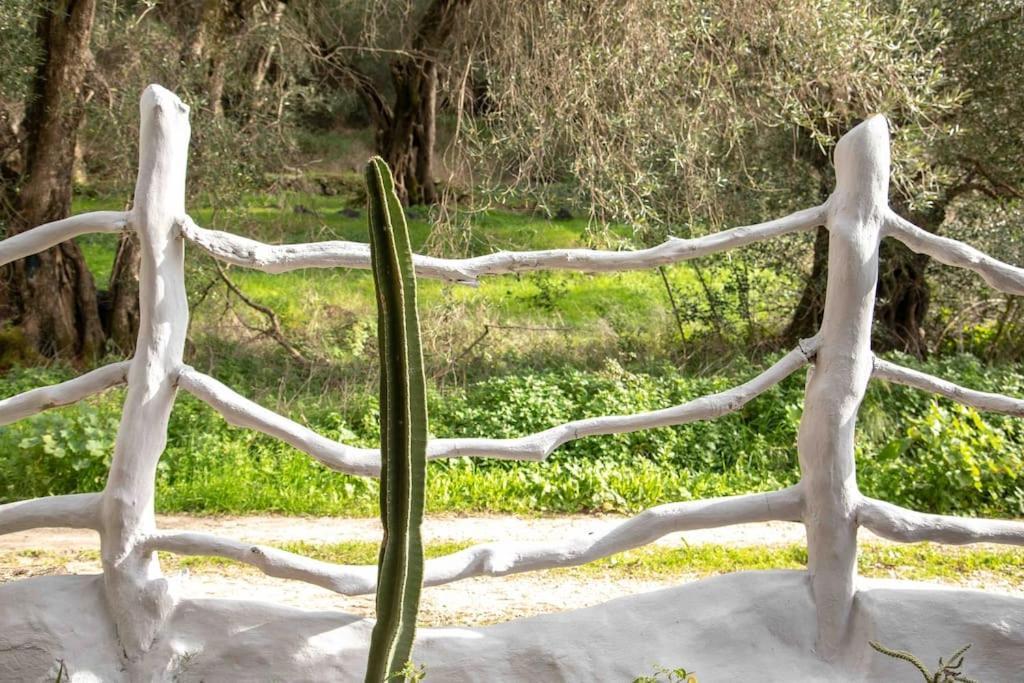 Margaritis'S Treehouse Villa Paramonas  Exterior foto